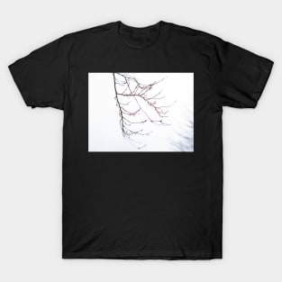 Cherry Branch T-Shirt